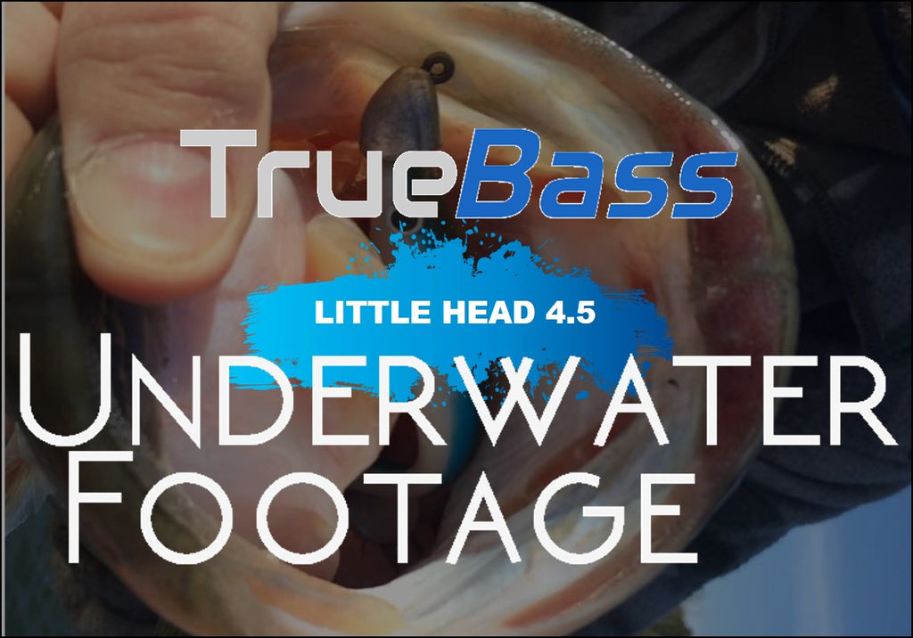 Swimbait - Underwater Footage - True Bass Little Head 4.5
