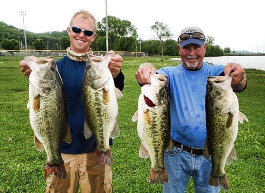 Big Head 7.5 – True Bass Fishing