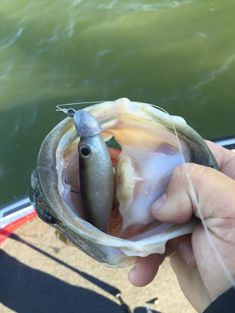 Big Head 7.5 – True Bass Fishing